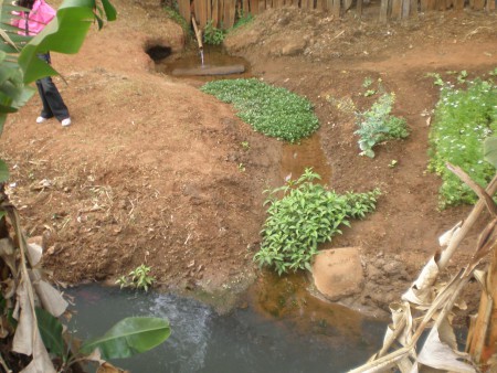 os locais não possuem sistema de tratamento.